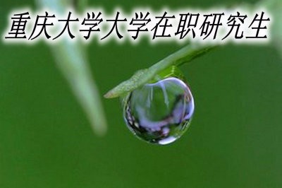 报考重庆大学在职研究生需要提交哪些材料？