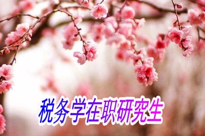 税务学在职研究生在哪里进行招生？