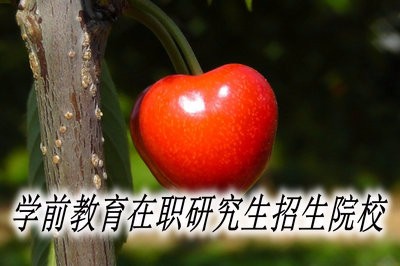 学前教育在职研究生都有哪些招生院校？ 