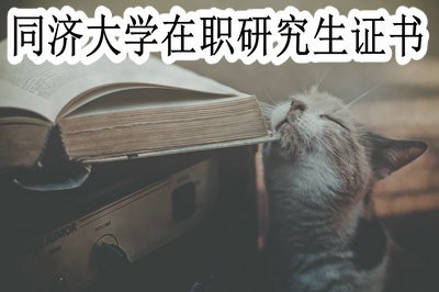 同济大学在职研究生可获哪些证书？