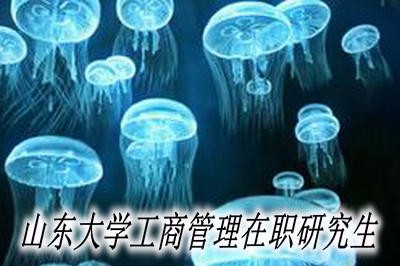 山东大学工商管理在职研究生课程安排 