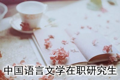 招收中国语言文学在职研究生的学院有哪些？