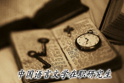 中国语言文学在职研究生是以什么形式进行招生的？