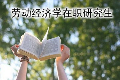 在职人士可以通过哪种方式报考劳动经济学在职研究生？