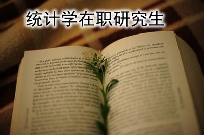 在职人士可以通过哪种方式报考统计学在职研究生？