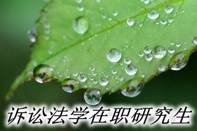 诉讼法学在职研究生有哪些院校招生？