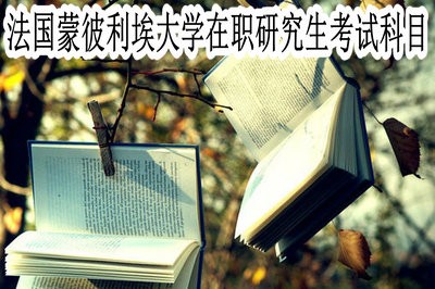 法国蒙彼利埃大学在职研究生的考试科目都有哪些？