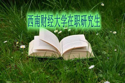 西南財經大學在職研究生可以異地上課嗎？