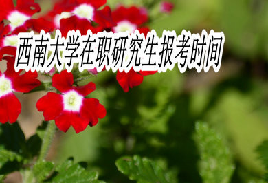 西南大學在職研究生報考時間是什么時候？