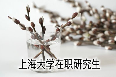 上海大学在职研究生真的靠谱吗？