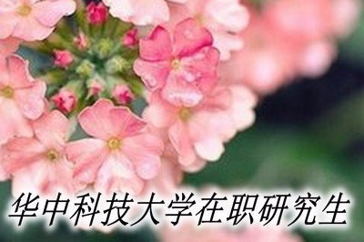 华中科技大学在职研究生的授课方式有哪些？