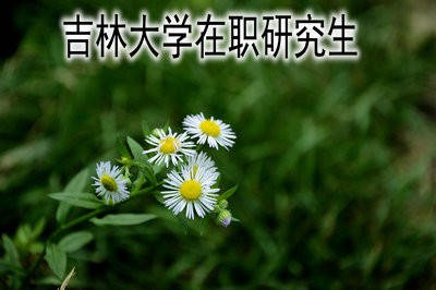 吉林大学在职研究生可以获得学历证书吗？