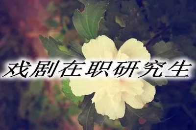 戏剧在职研究生的报考途径有哪些？