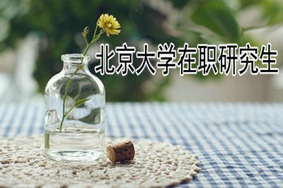 北京大学在职研究生通过高级研修班招生吗？