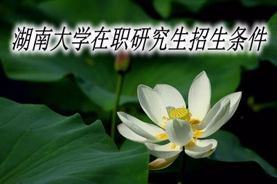 湖南大学在职研究生招生条件有哪些？