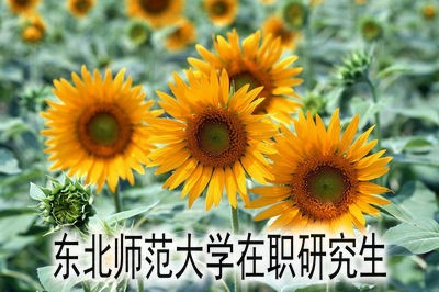 东北师范大学在职研究生考试时间是什么时候？