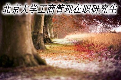 北京大学工商管理在职研究生的报名流程