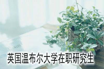 英国温布尔大学在职研究生的报考流程是什么？