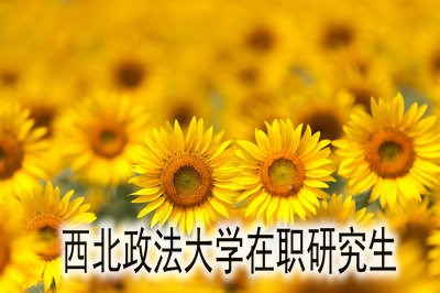 西北政法大学在职研究生的入学要求高吗？