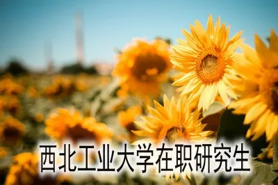 西北工业大学在职研究生的招生方式是什么？