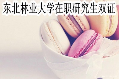 东北林业大学在职研究生可以获得双证吗？