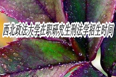 西北政法大学在职研究生刑法学招生时间固定吗？