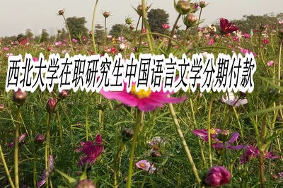 西北大学在职研究生中国语言文学可以分期付款吗？