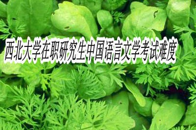 西北大学在职研究生中国语言文学考试难度大不大？