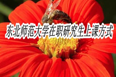 东北师范大学在职研究生上课方式是什么？