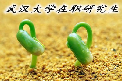 2019年武漢大學(xué)在職研究生的報(bào)考條件