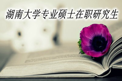 湖南大学专业硕士在职研究生可以获取什么证书？