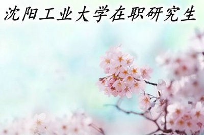 沈阳工业大学在职研究生的招生政策有变化吗？