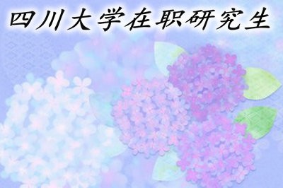 四川大学在职研究生的学费可以在网上缴纳吗？