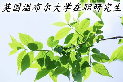 報考英國溫布爾大學(xué)在職研究生需要提交哪些材料？