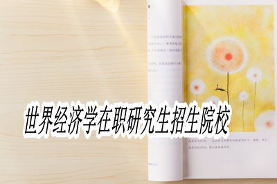 世界经济学在职研究生招生院校有哪些？