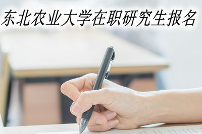 东北农业大学在职研究生在什么时候可以报名？