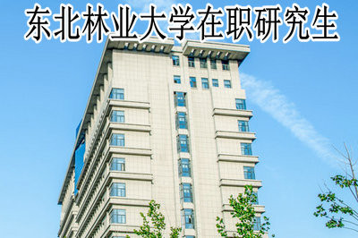 东北林业大学在职研究生报名及考试时间各是什么时候？