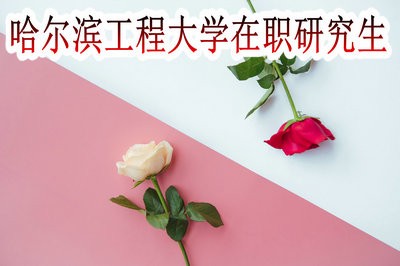 哈尔滨工程大学在职研究生可以先学习后考试吗？