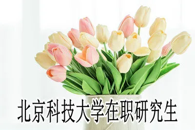 2019年北京科技大学在职研究生考试时间有变化吗？