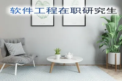 软件工程在职研究生有几所招生院校？