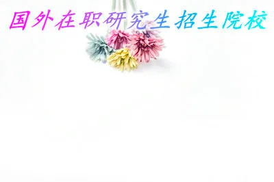 2019年有哪些国外院校在招收在职研究生？