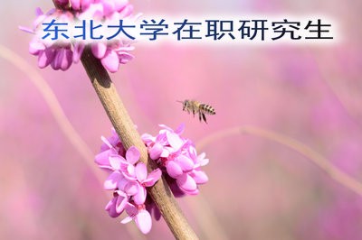 報(bào)考東北大學(xué)在職研究生可以選擇哪種形式？