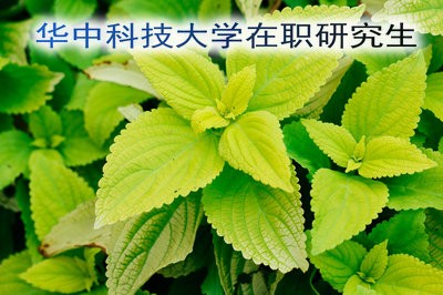 2019年华中科技大学在职研究生的报名时间详解！