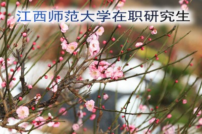 2019年江西师范大学在职研究生的报名入口在哪里？