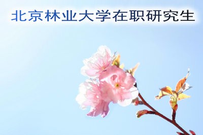 上班族攻读北京林业大学在职研究生报考须知