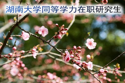 2019年湖南大学同等学力在职研究生招生详情