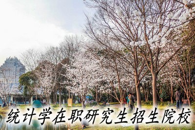 哪些院校的统计学研究生以同等学力申硕的方式招生？