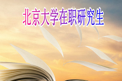 2019年北京大学在以什么形式招收在职研究生？