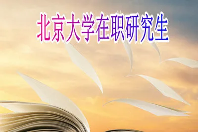 2019年北京大学在以什么形式招收在职研究生？