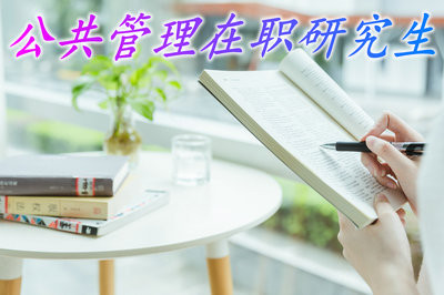 公共管理在职研究生可以通过中外合办类型报考吗？